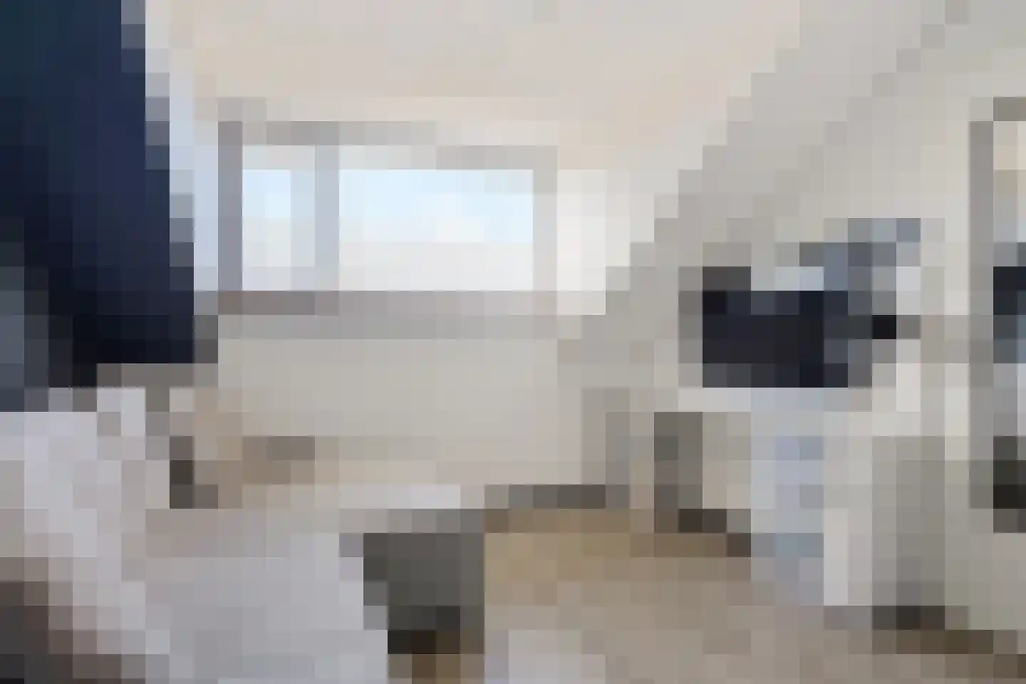 Rietmees 3 Emmen thumbnail 33