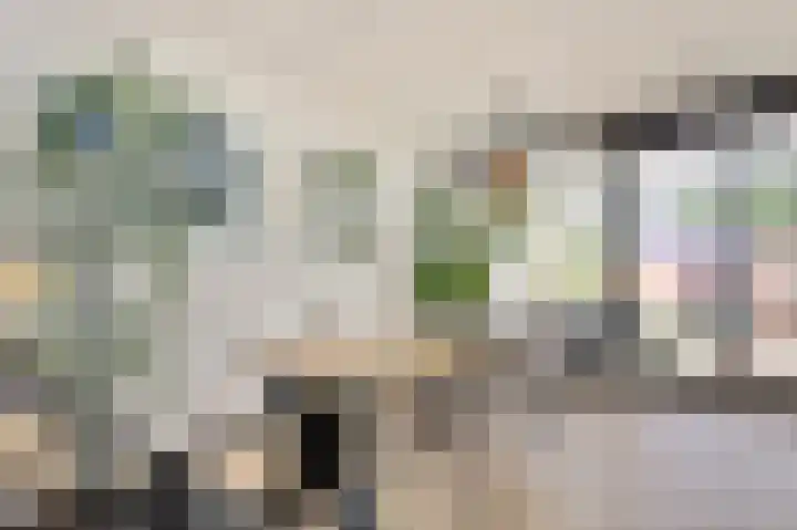 Rietmees 3 Emmen thumbnail 35