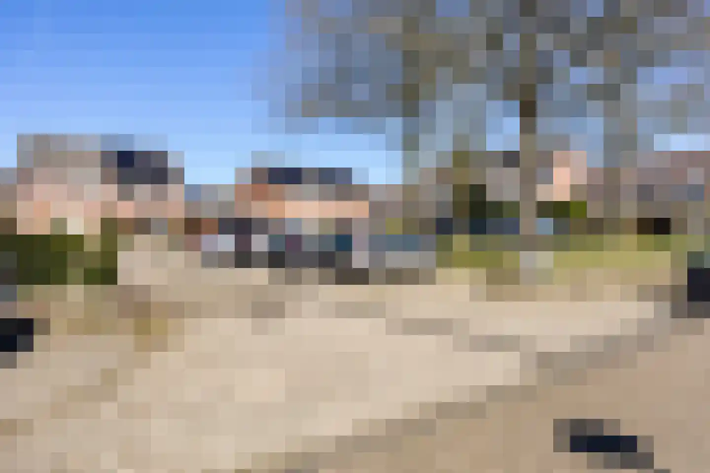 Rietmees 3 Emmen thumbnail 46