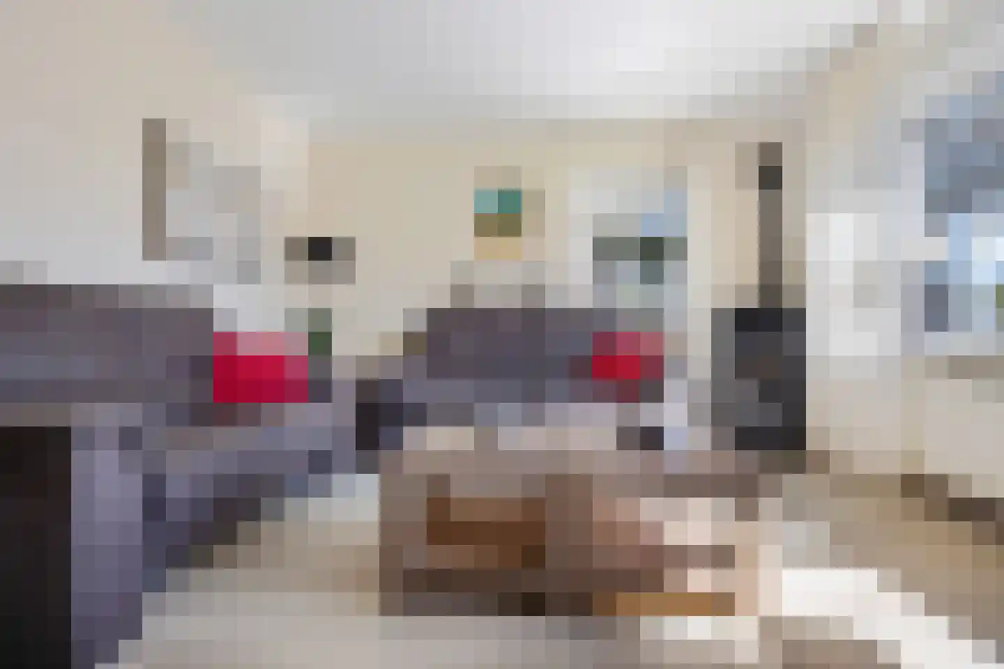 Rietmees 3 Emmen thumbnail 9
