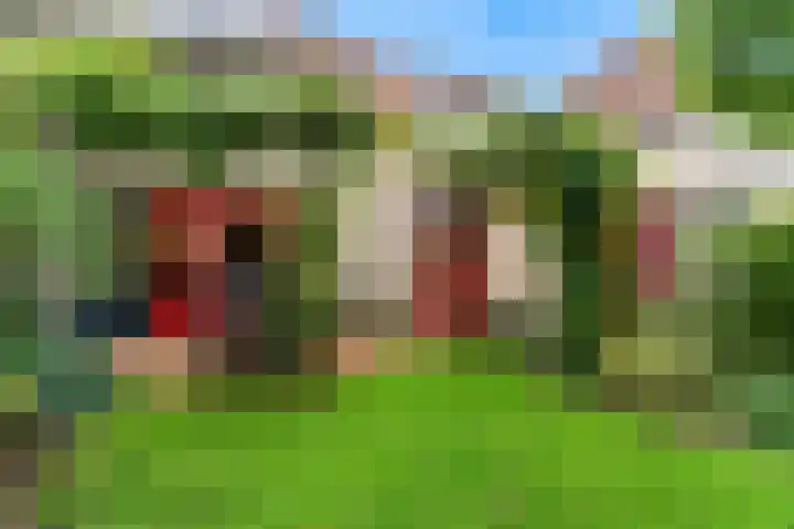 Rietorchis 4 Limmen thumbnail 37