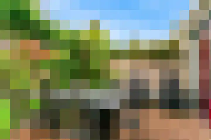 Rietorchis 4 Limmen thumbnail 47