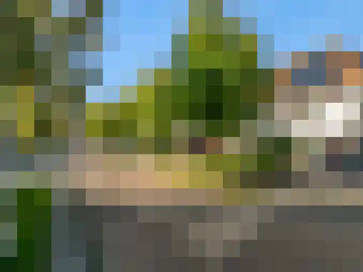 Rietorchis 4 Limmen thumbnail 50