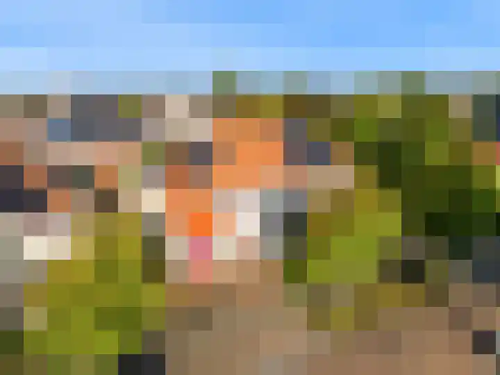Rietorchis 4 Limmen thumbnail 51