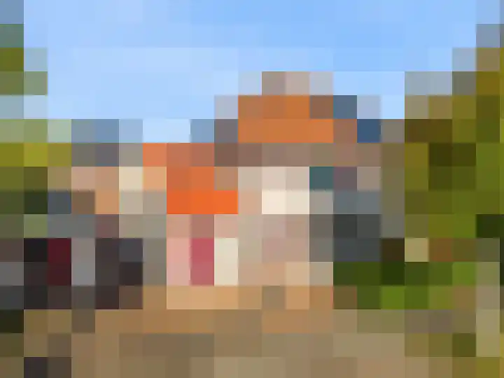 Rietorchis 4 Limmen thumbnail 53