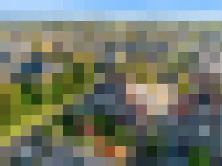 Rietorchis 4 Limmen thumbnail 56