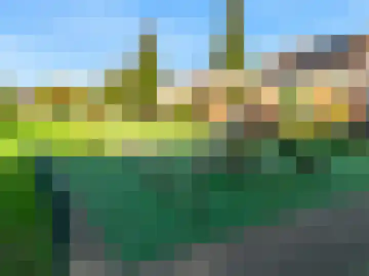 Rietorchis 4 Limmen thumbnail 57