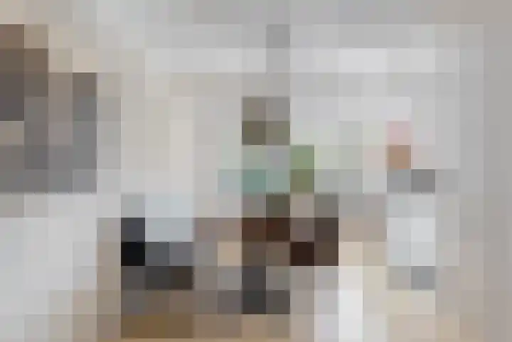 Rietorchis 4 Limmen thumbnail 9