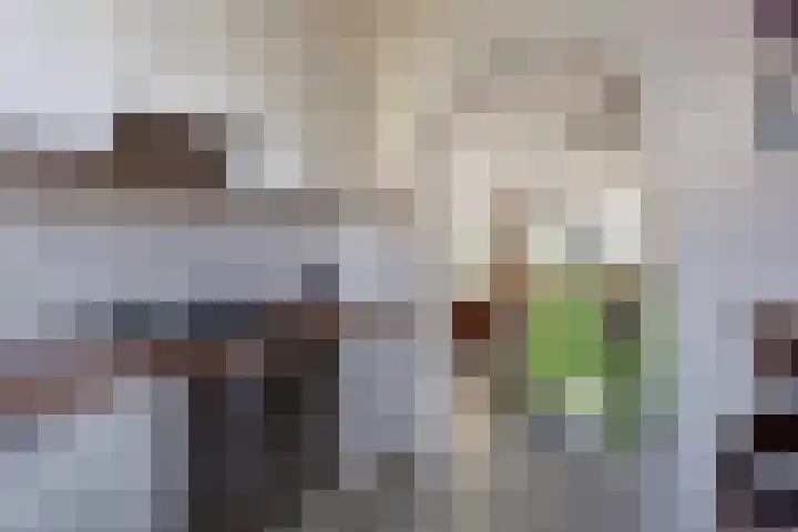 Rietputten 9 Eindhoven thumbnail 12