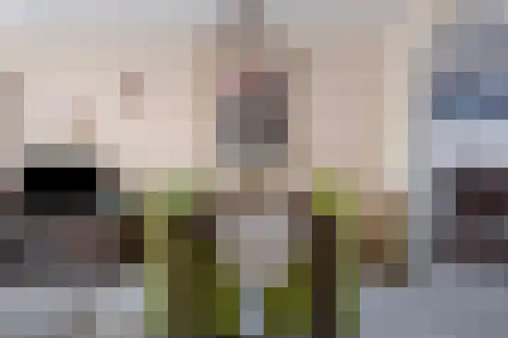 Rietputten 9 Eindhoven thumbnail 16
