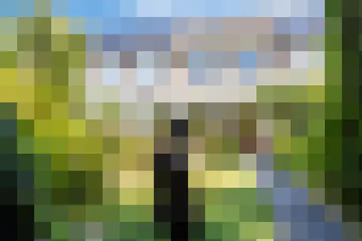 Rietputten 9 Eindhoven thumbnail 33