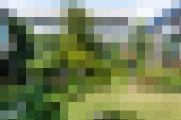Rietputten 9 Eindhoven thumbnail 34