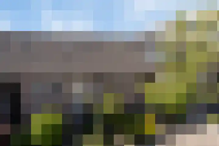 Rietputten 9 Eindhoven thumbnail 37