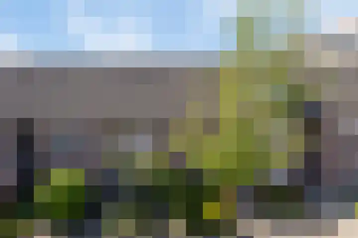 Rietputten 9 Eindhoven thumbnail 6