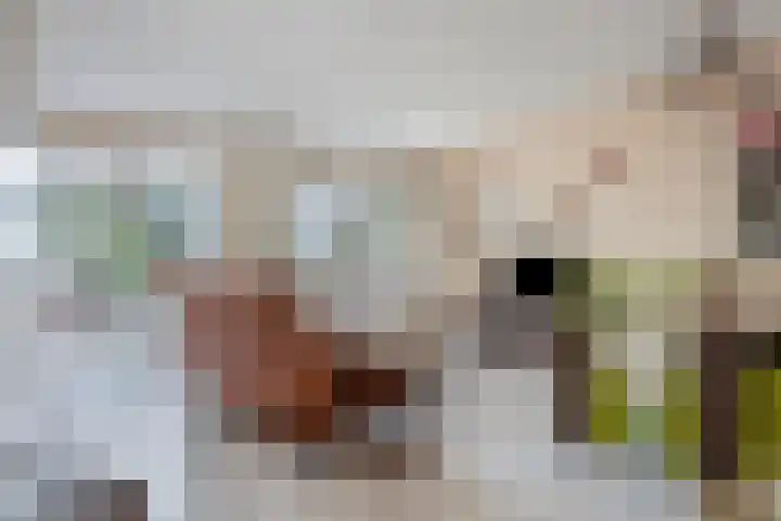 Rietputten 9 Eindhoven thumbnail 9