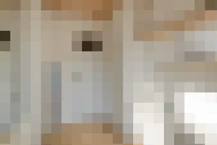Rietsemalaan 6 Breda thumbnail 27
