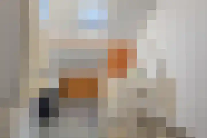 Rietsemalaan 6 Breda thumbnail 31