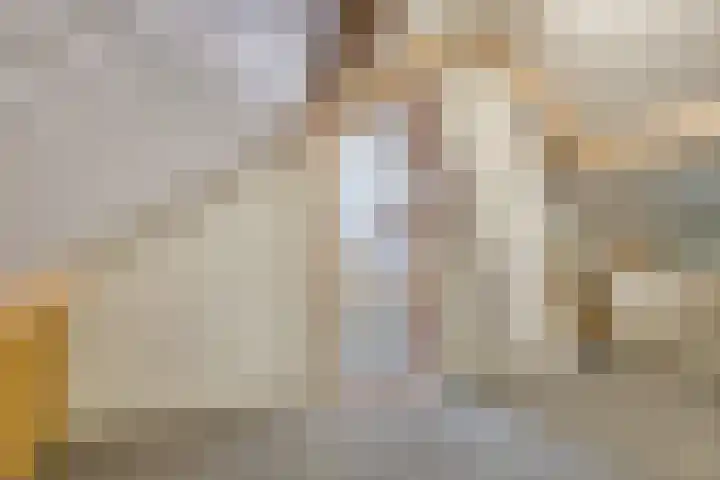 Rietsemalaan 6 Breda thumbnail 33