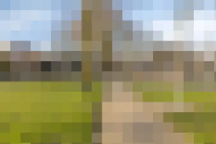 Rietsemalaan 6 Breda thumbnail 34