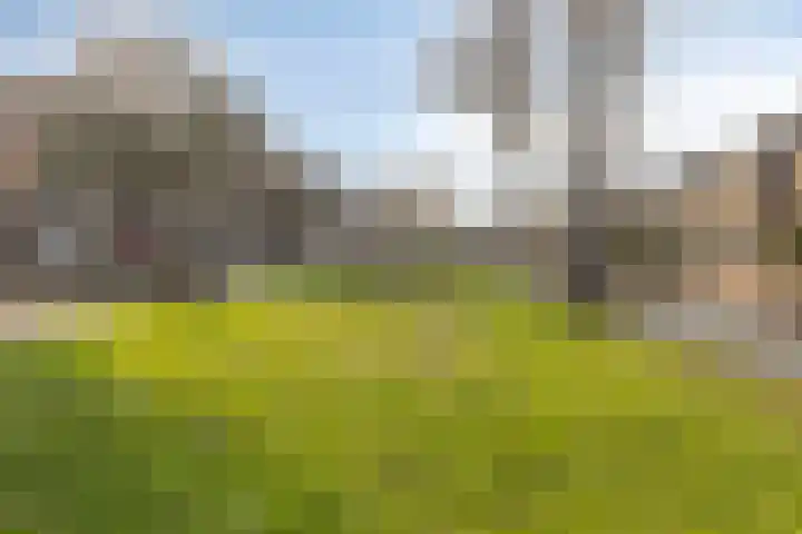 Rietsemalaan 6 Breda thumbnail 36