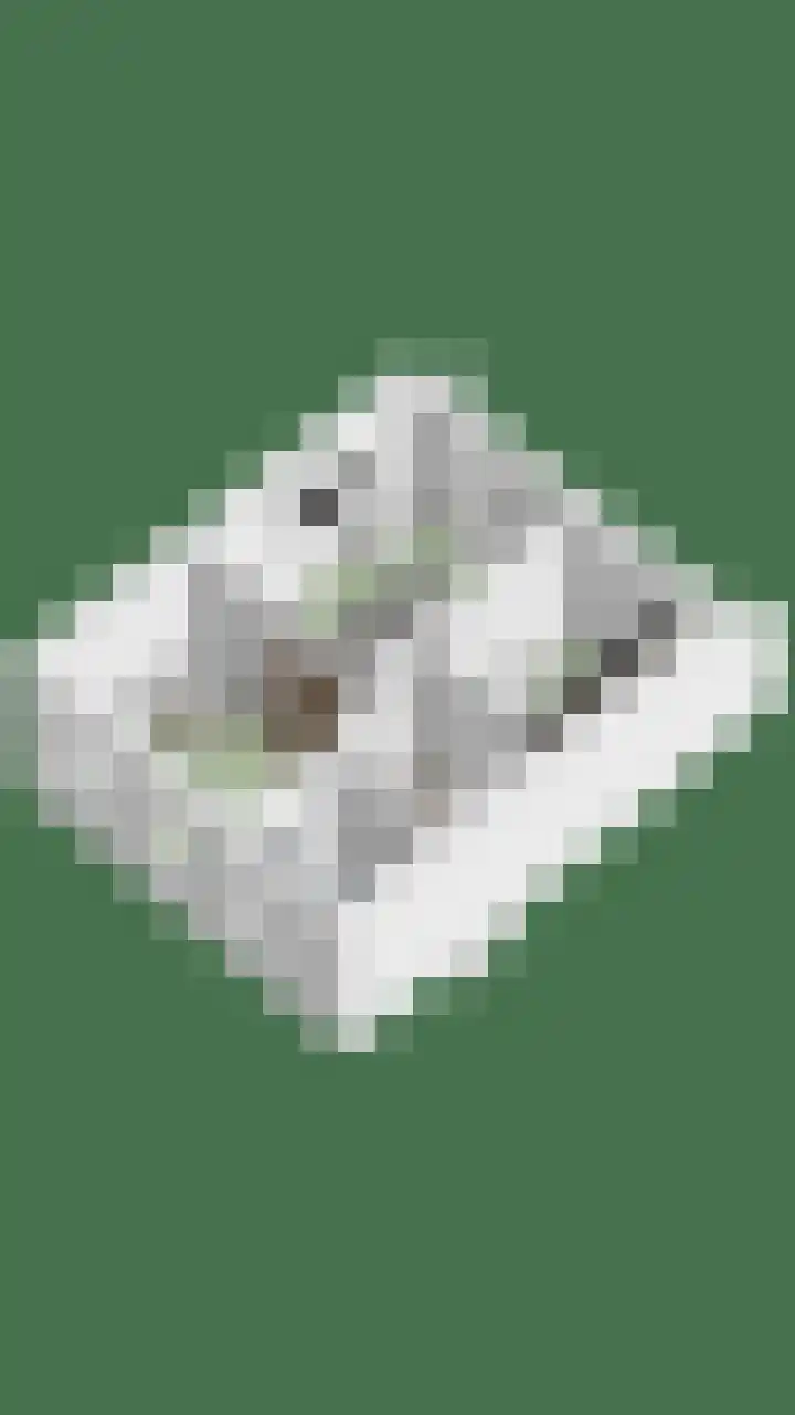 Rietsemalaan 6 Breda thumbnail 44