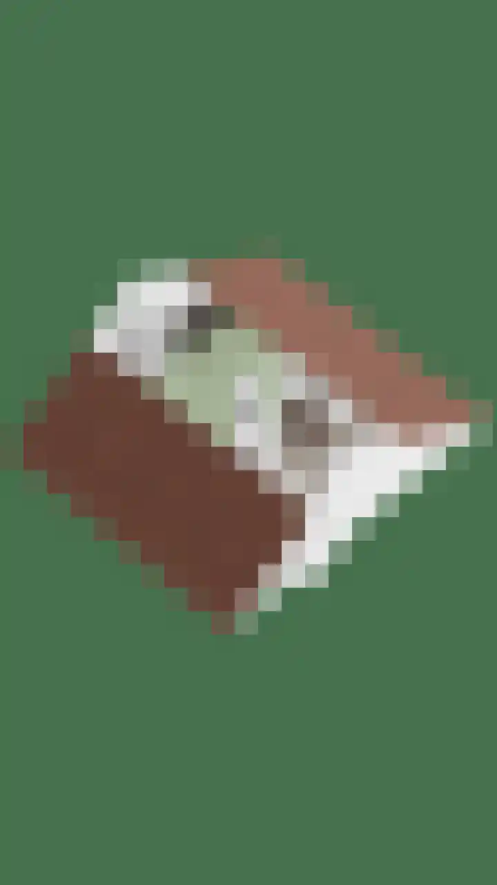 Rietsemalaan 6 Breda thumbnail 45