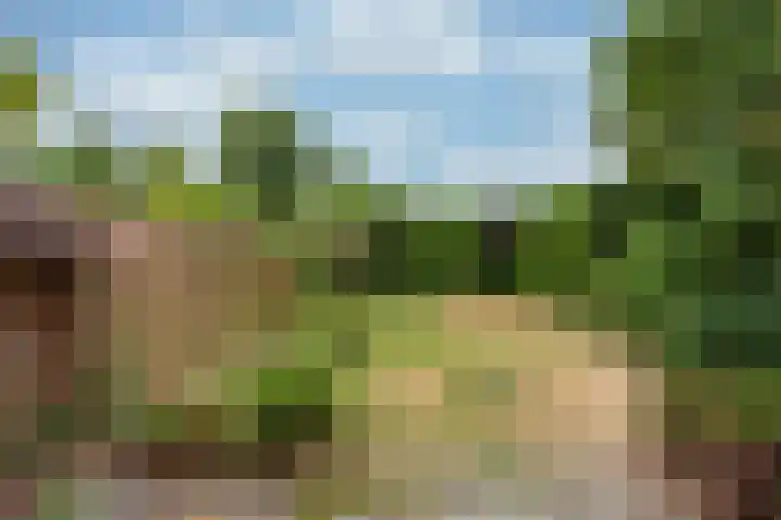 Rietspinner 6 Leusden thumbnail 14