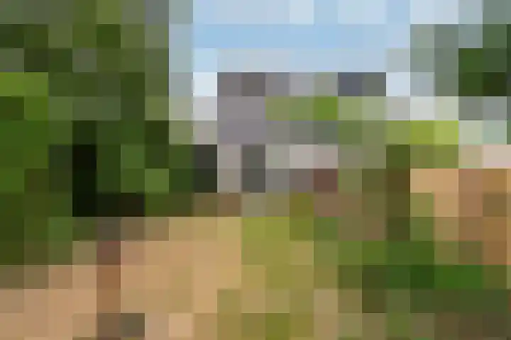 Rietspinner 6 Leusden thumbnail 16