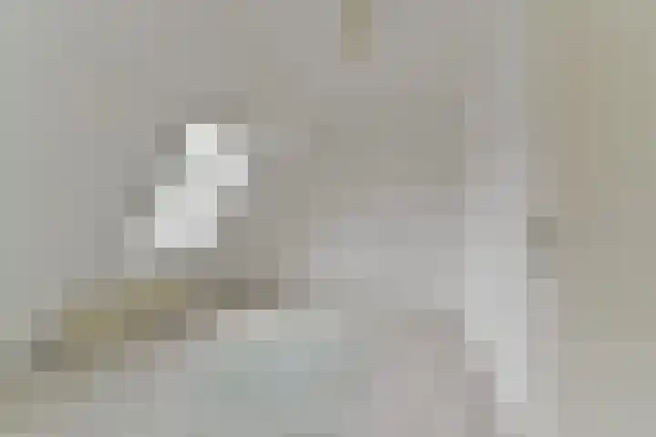 Rietspinner 6 Leusden thumbnail 21