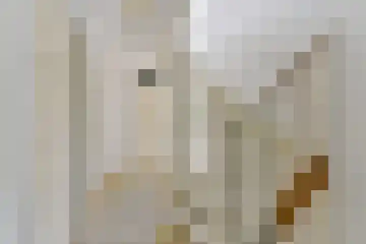 Rietspinner 6 Leusden thumbnail 22