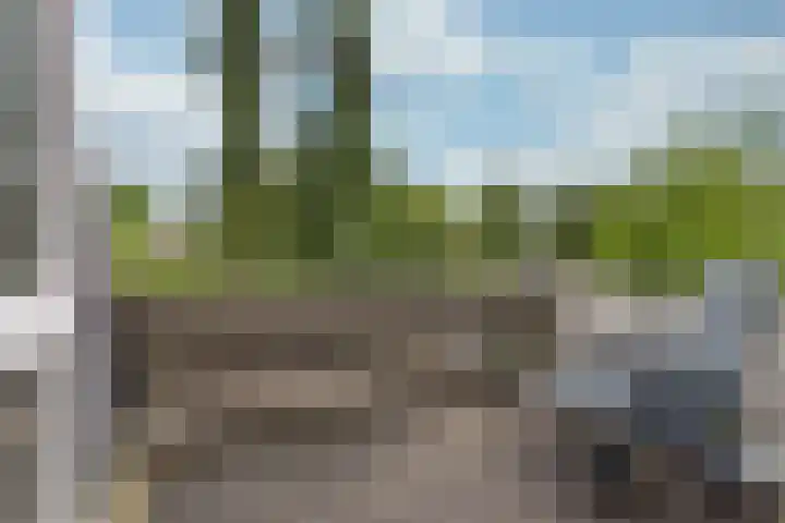 Rietspinner 6 Leusden thumbnail 25