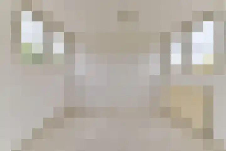 Rietspinner 6 Leusden thumbnail 29