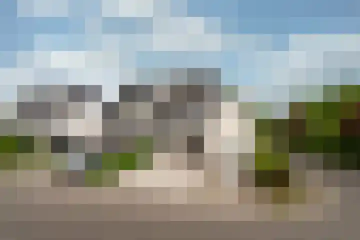 Rietspinner 6 Leusden thumbnail 33