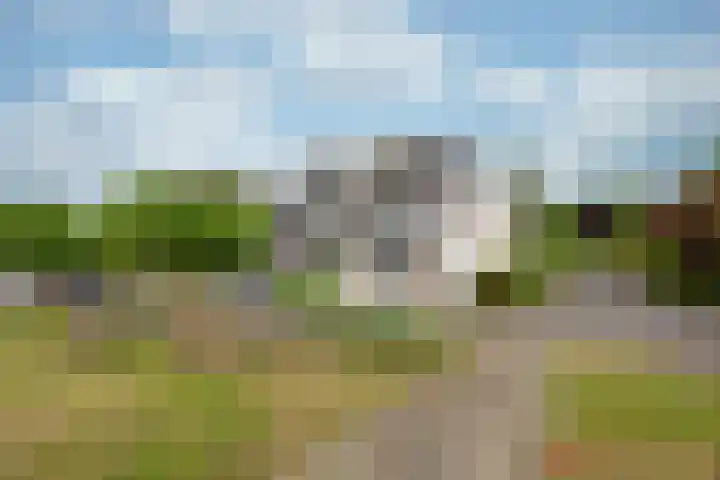 Rietspinner 6 Leusden thumbnail 34
