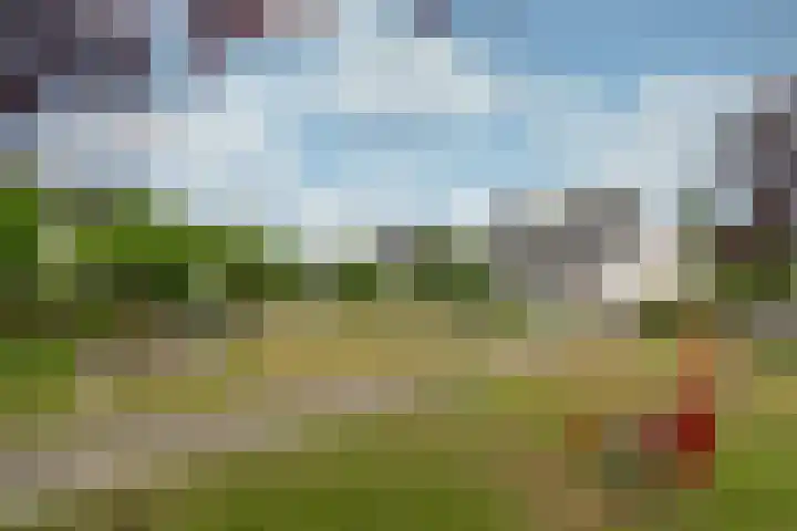 Rietspinner 6 Leusden thumbnail 35