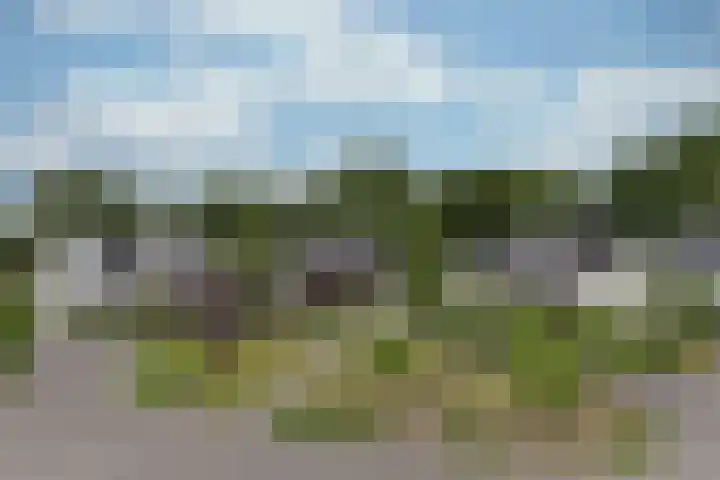 Rietspinner 6 Leusden thumbnail 36