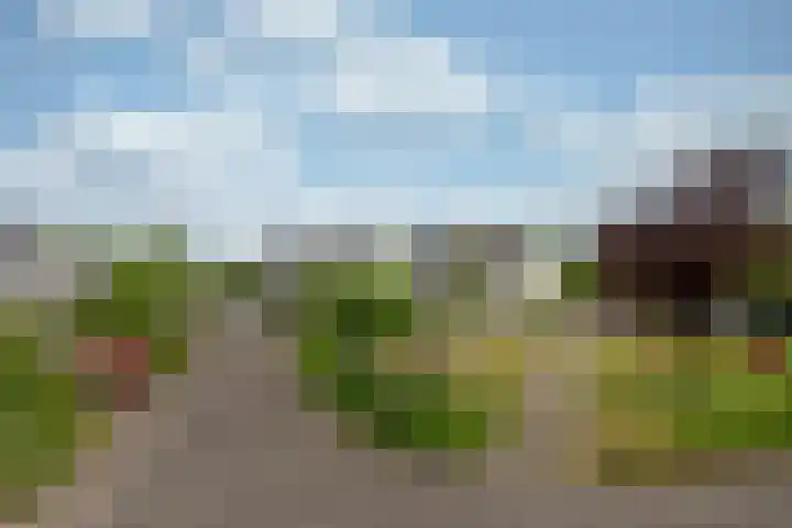 Rietspinner 6 Leusden thumbnail 37