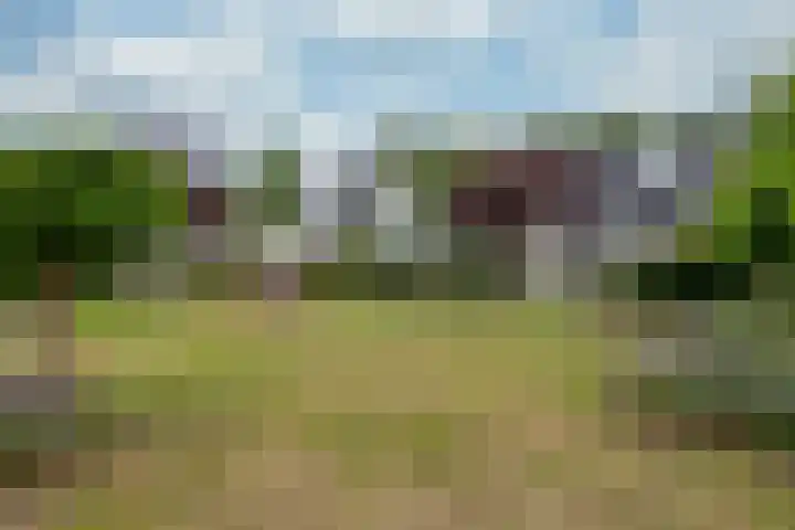 Rietspinner 6 Leusden thumbnail 38