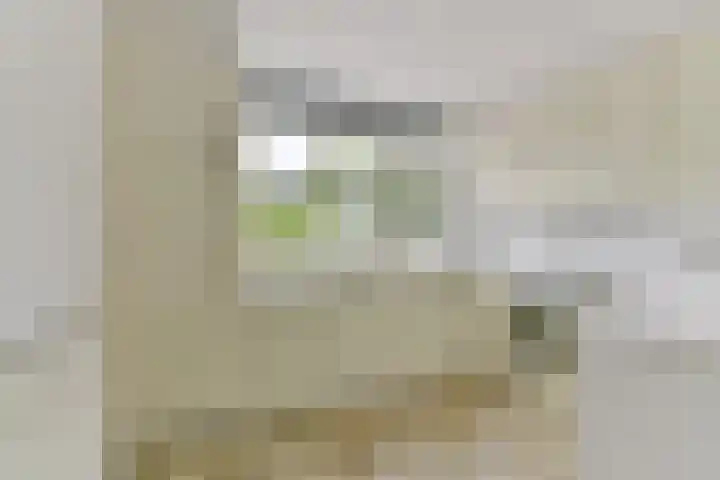 Rietspinner 6 Leusden thumbnail 7