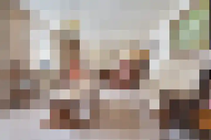Rietstraat 10 Schijndel thumbnail 8