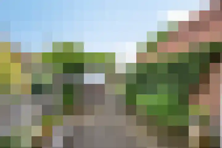 Rietstraat 64 Emmeloord thumbnail 21