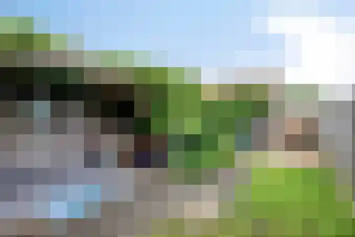 Rietstraat 64 Emmeloord thumbnail 23