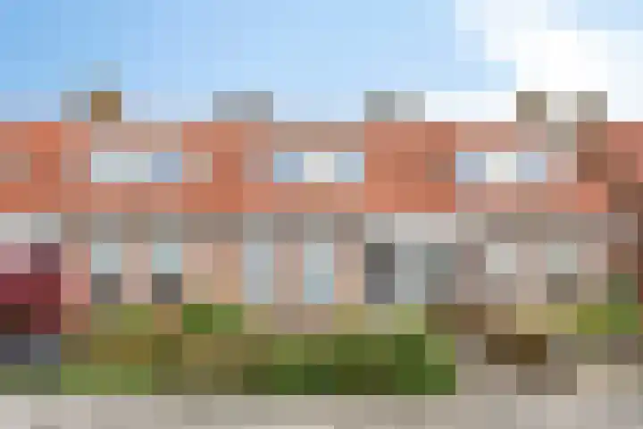 Rietstraat 64 Emmeloord thumbnail 4