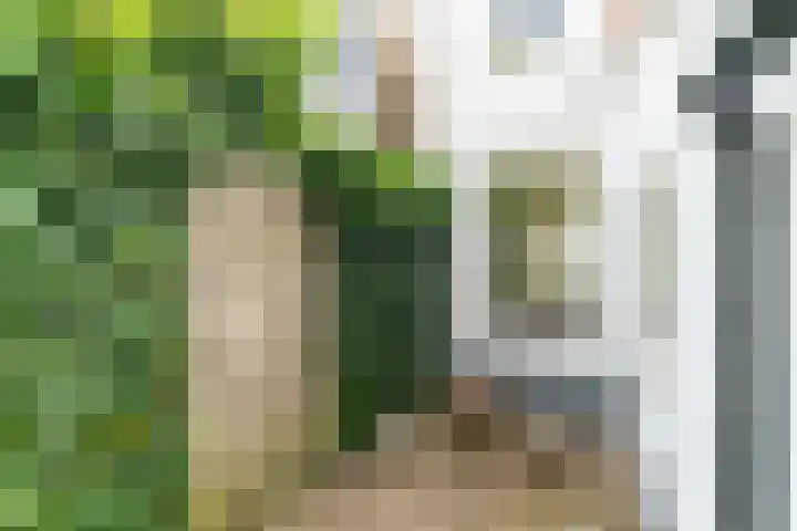 Rietveld 202 Delft thumbnail 25