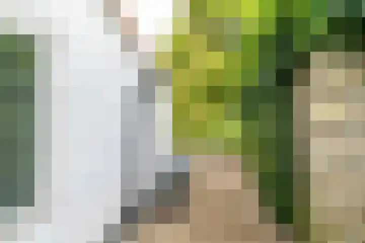 Rietveld 202 Delft thumbnail 26