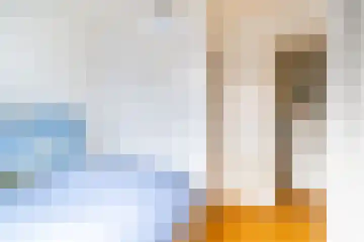Rietveld 202 Delft thumbnail 33