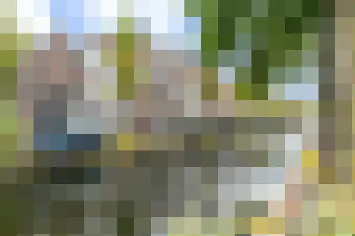 Rietveld 202 Delft thumbnail 36
