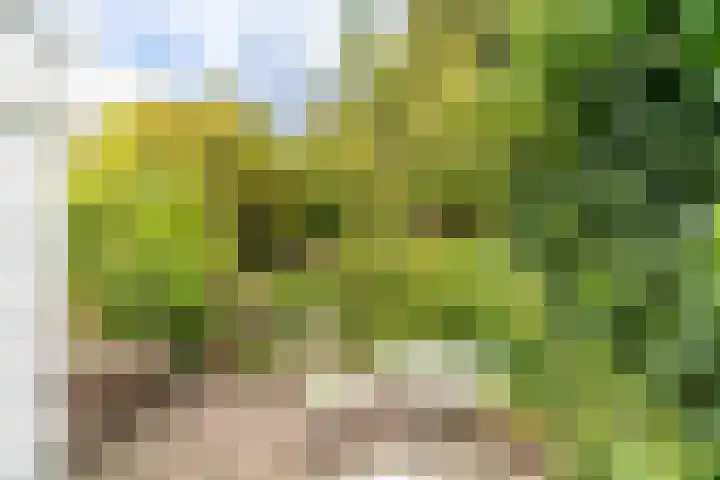 Rietveld 202 Delft thumbnail 4