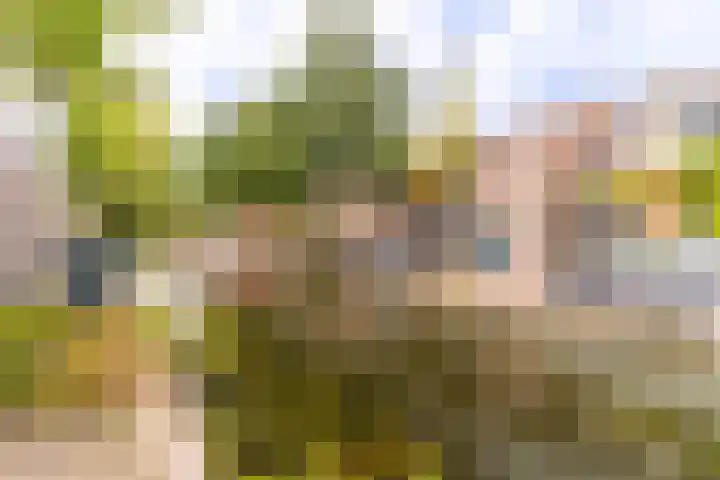 Rietveld 202 Delft thumbnail 5