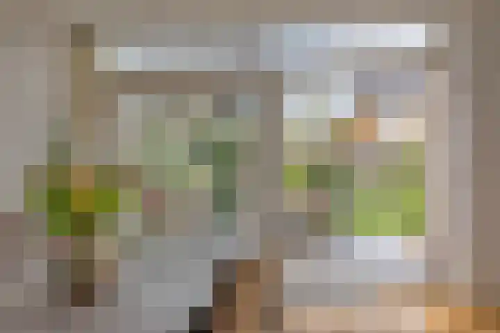 Rietveld 7 Wouw thumbnail 14